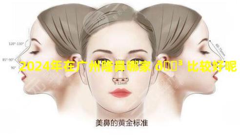2024年在广州隆鼻哪家 🌳 比较好呢